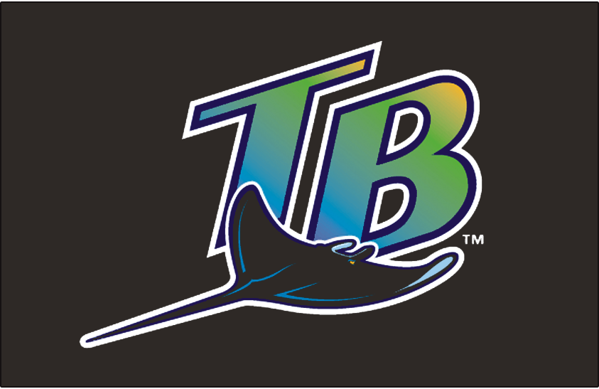 Tampa Bay Devil Rays 1998-2000 Cap Logo DIY iron on transfer (heat transfer)